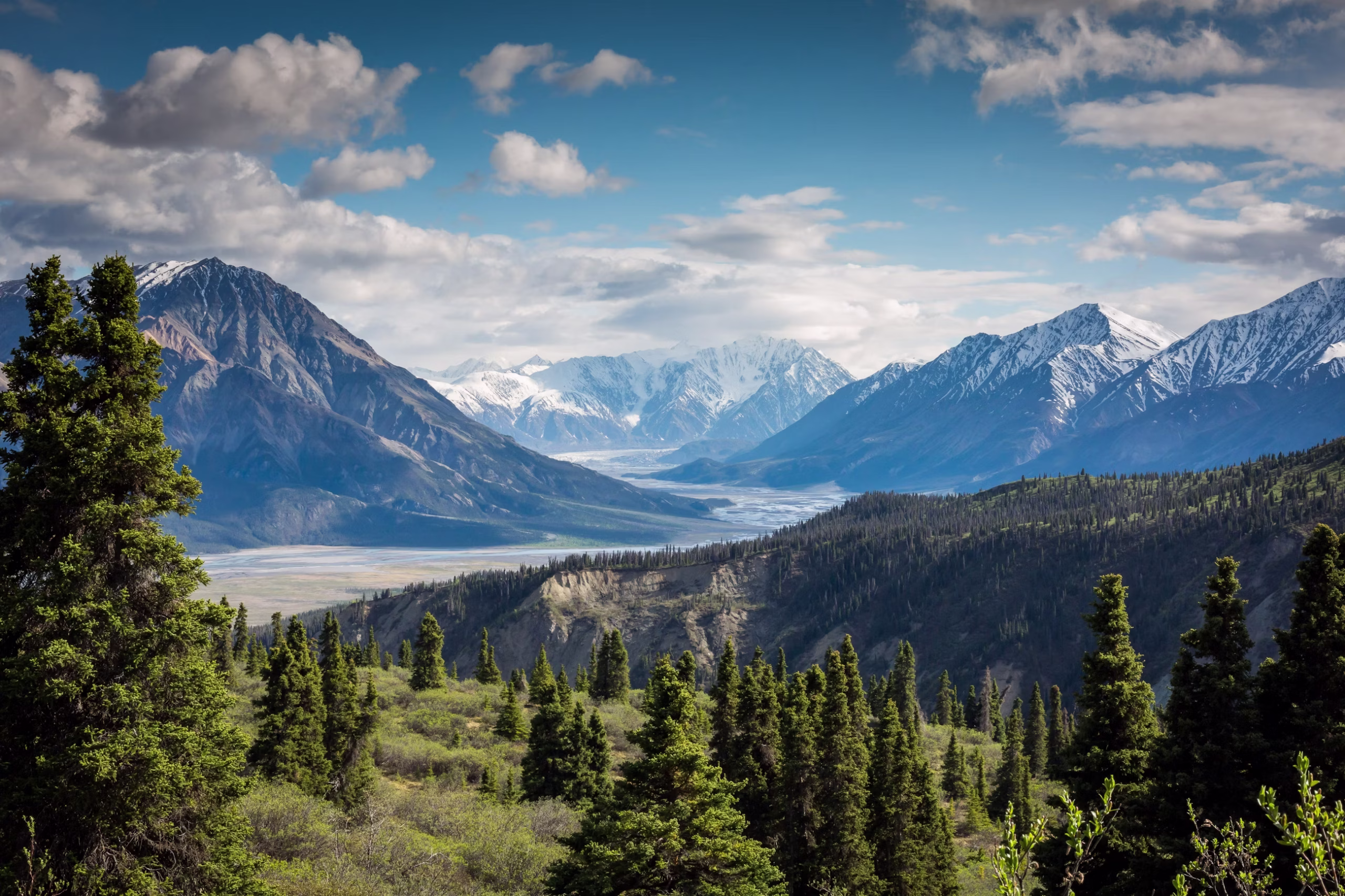 Mountains and forest in British Columbia